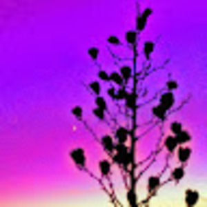 Meet your Posher, Magic hour